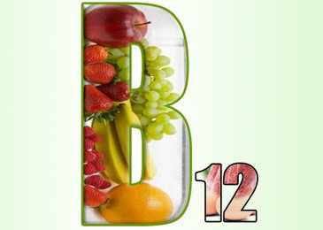 Genomeet 2013 will focus on the importance of Vitamin B12