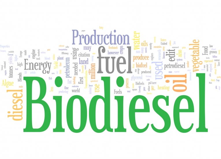 Encouraging biodiesel in letter and spirit!