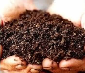 Indian Council of Agricultural Research (ICAR) has developed a technology for the preparation of enriched / vermi compost from various organic waste