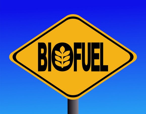 Made in India: The current government intends to develop biofuels through indigenous technologies