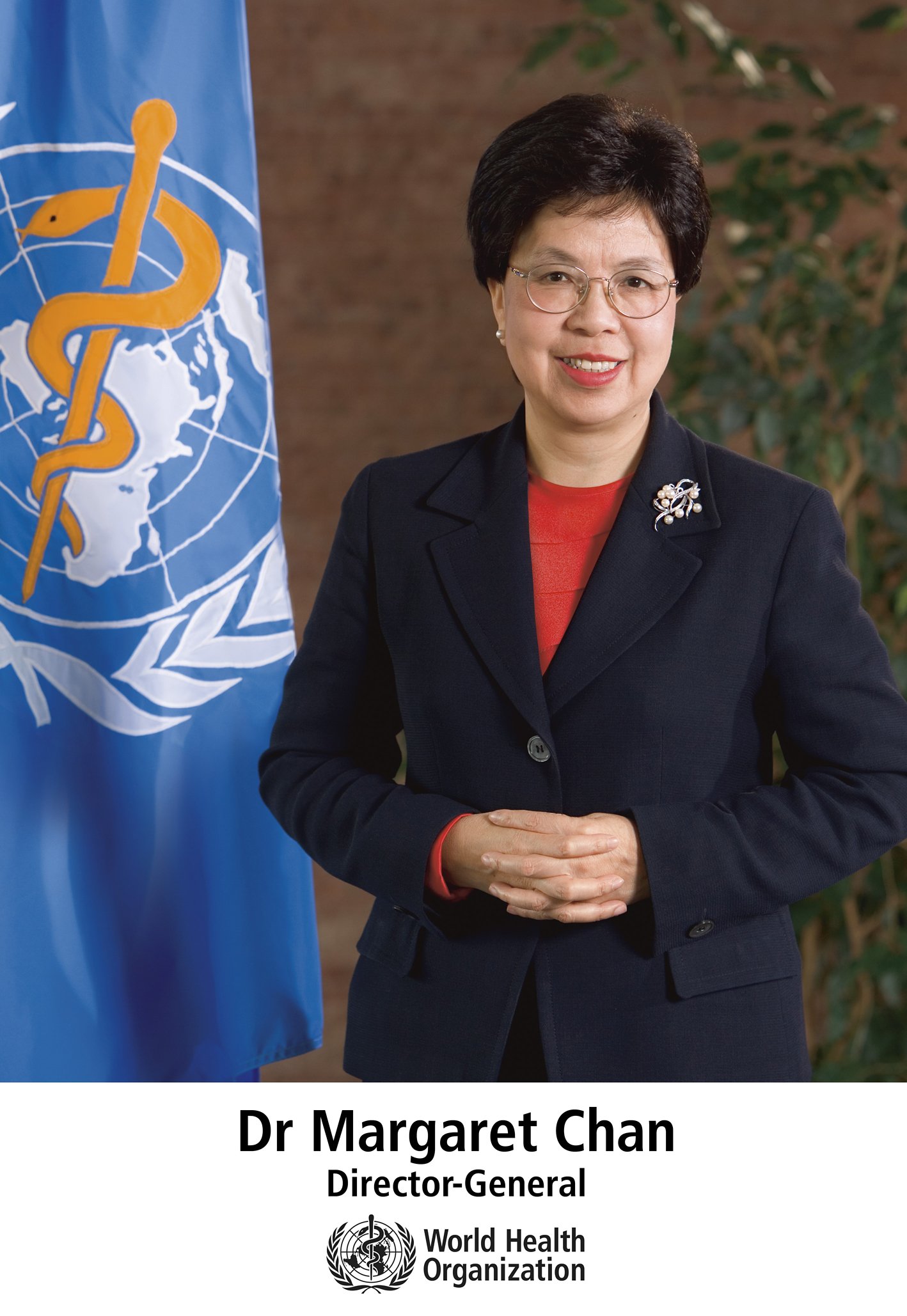 Dr Margaret Chan, director general, WHO recently adressed the BRICS health ministers' meeting