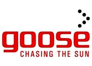 Goose launches online and offline 2D barcoding solution