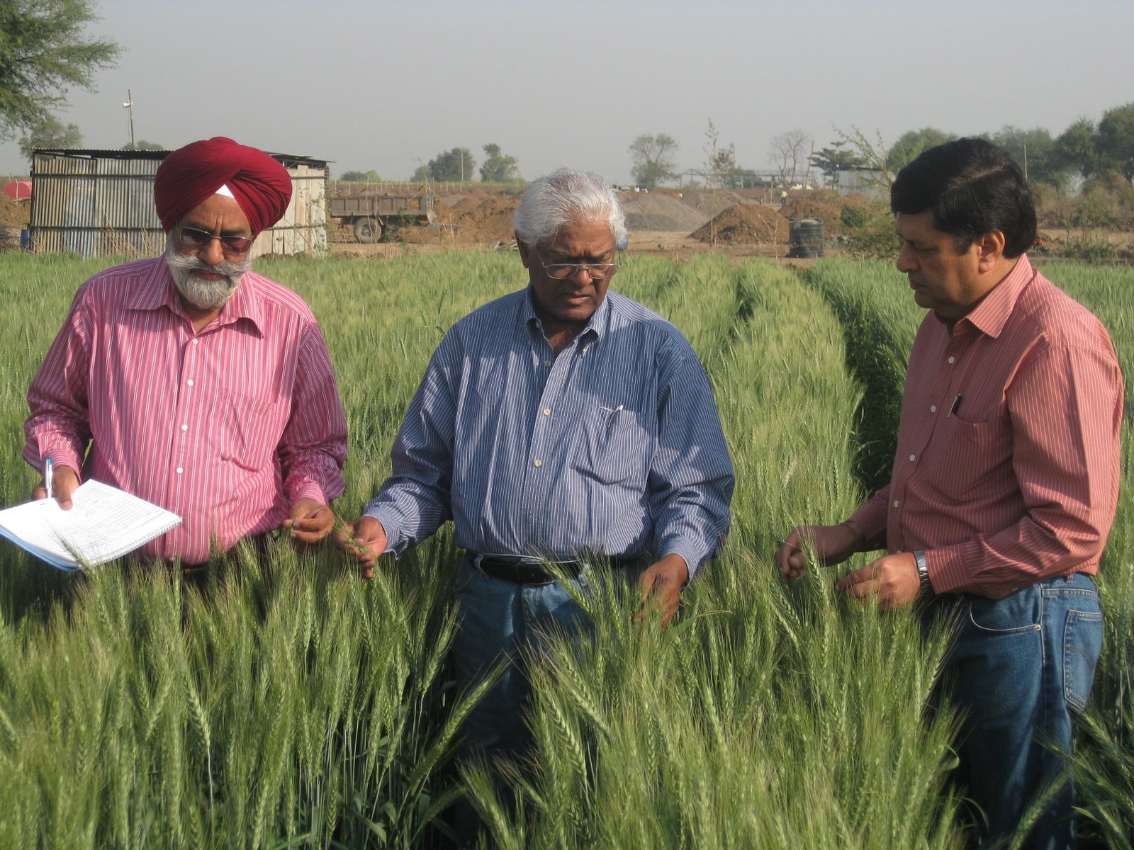 His research has led to the development of hundreds of improved wheat varieties