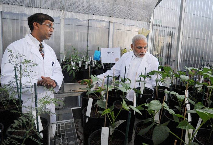 PM Modi in Lab at QUT: Enhancing understanding of bio-technological processes to fortify bananas.