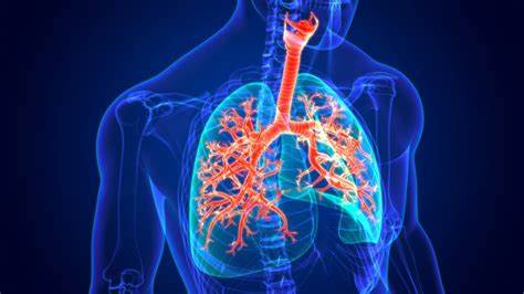 Respiratory diseases with 15.3% burden highest in India: SMSRC study