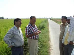 Scientists from CSSRI interacting with farmers