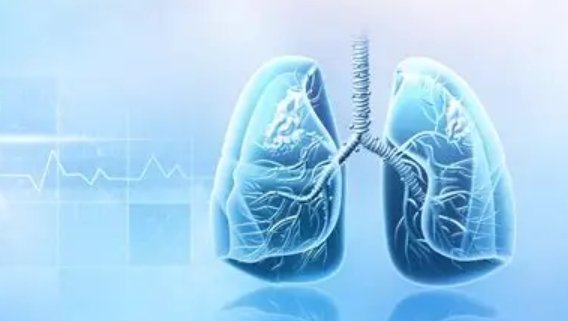 image credit- freepik