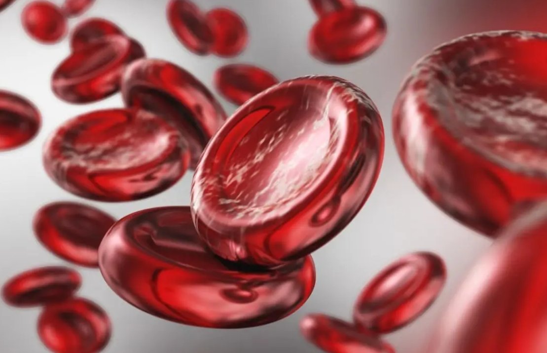 image credit- freepik