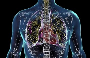 image credit- freepik