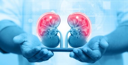 image credit- shutterstock