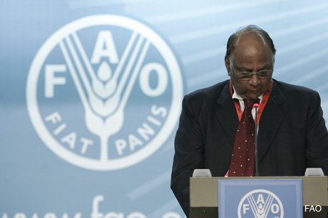 Union agriculture minister, Sharad Pawar delivering his speech at Food and Agriculture Organization, United Nations