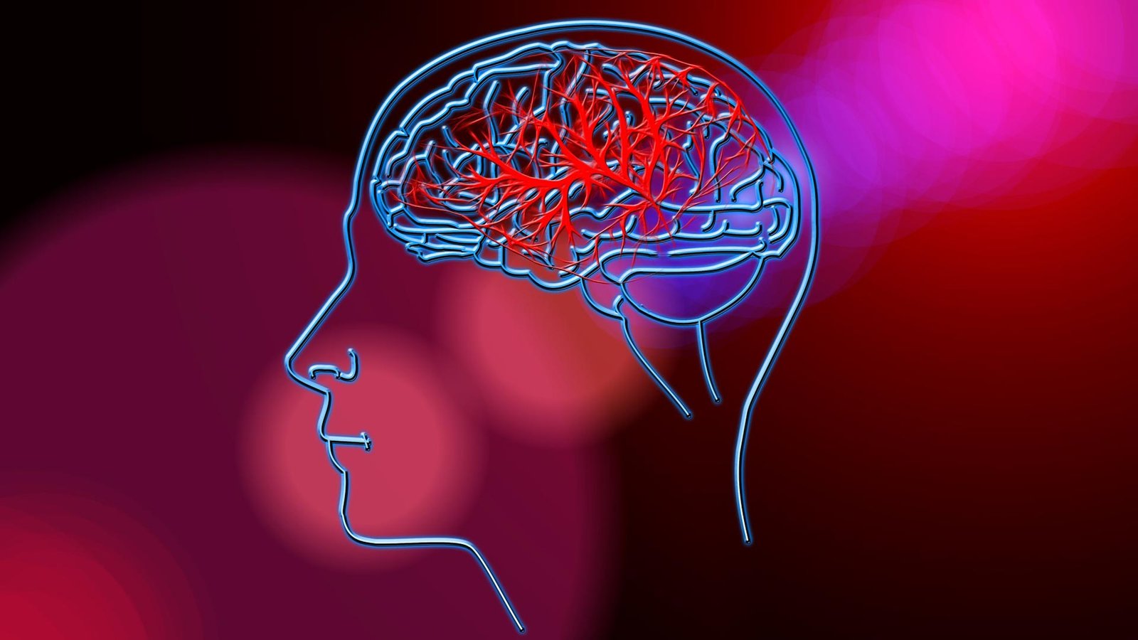 image credit- freepik