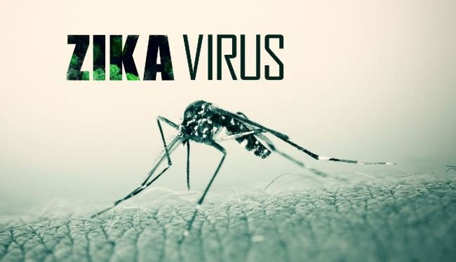 The VERSANT Zika RNA 1.0 Assay (kPCR) Kit is capable of detecting the presence of Zika virus